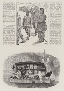 Convict Life in Wormwood Scrubs Prisão